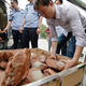 Imagen para el artículo titulado Hallan 43 huevos fosilizados en la "ciudad de los dinosaurios" de China